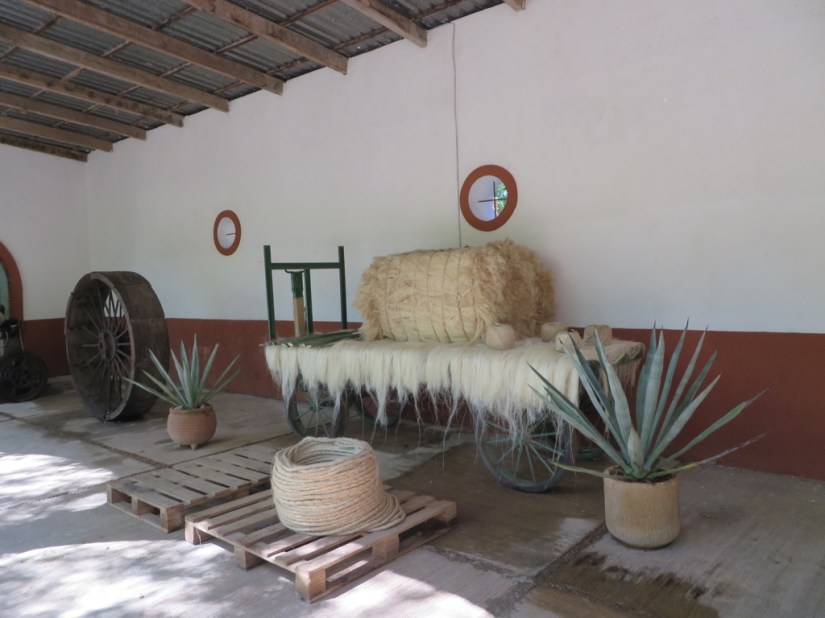 5B873E54-B720-4DB9-827B-C4EF9D69472C