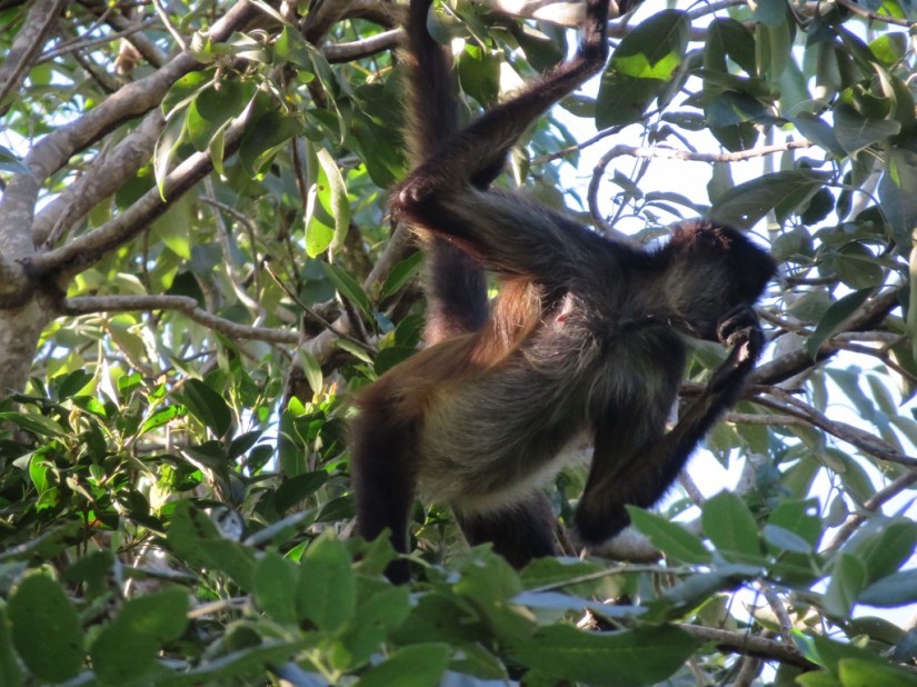 5D0CFEB0-32E5-43EA-A5D5-EBE049C04B2C