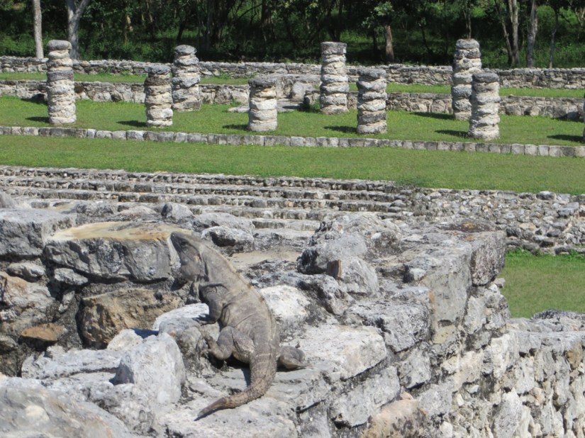 5F90D4D6-BBCF-45F9-A185-623DF3C525CC