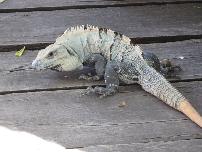 654E8DD3-C060-4E32-B60A-B98EE796EB77