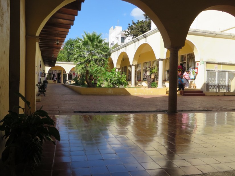 669DA132-2505-4DFF-A054-D71FF869D8F7