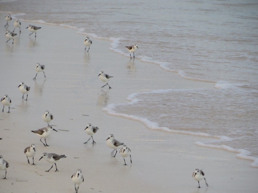 774E19CD-EFC9-4786-BDDB-134AADEC0AEC