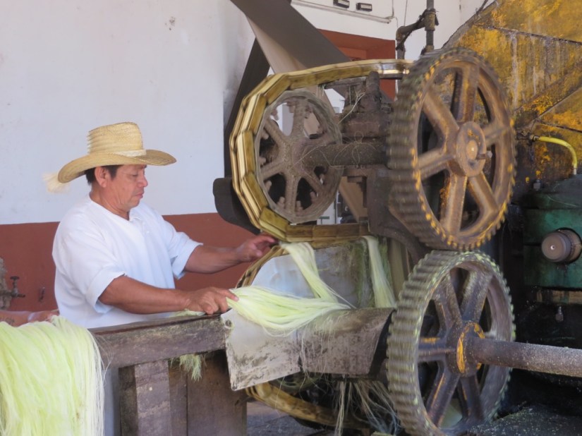 80C56109-117B-44E3-81E5-2393D28D116C