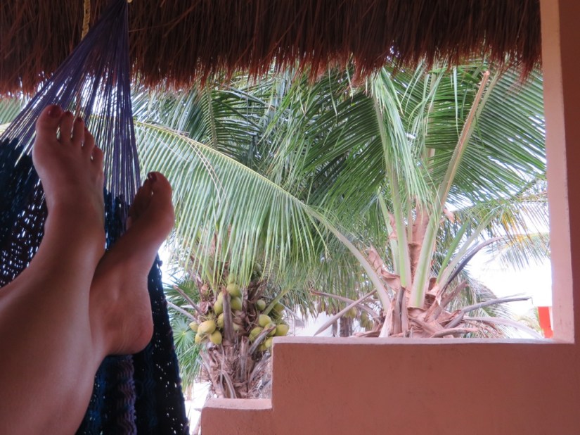 92CC9AA6-72F0-4EB5-863C-4739623DC3AD