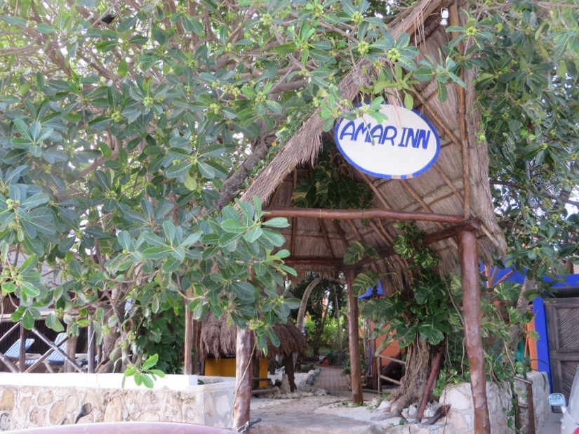 D16E7439-A01D-4BDA-BF58-33381C723BC5