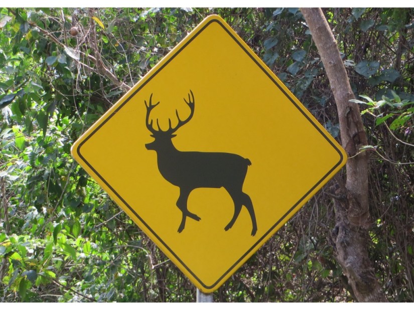 D74819E8-E558-4329-9485-B30AD2FF71CC