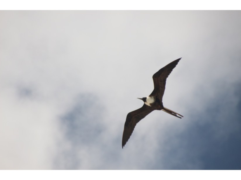 E98A9220-6979-40D2-94BF-A5930FDB1FC3