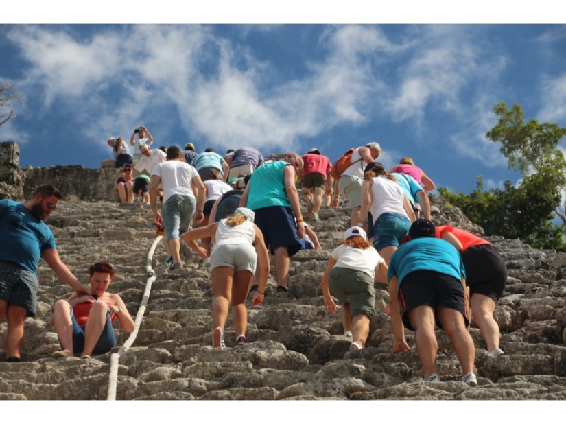 21B8032C-234C-4DEC-A76E-EA50F0FE9E6F