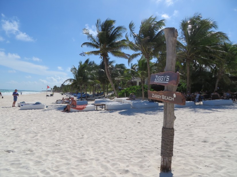 900D7059-BC6F-4D3C-B39A-5EC7284BD479