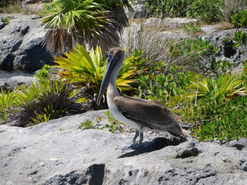 A138CAA9-78A8-4077-B682-90546DD416F7