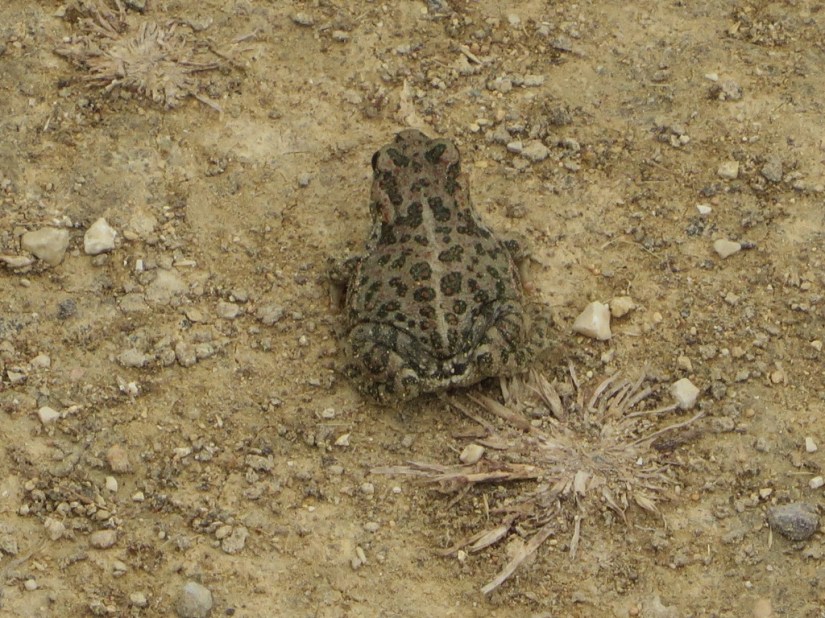 0488D692-1A9C-42D5-B2A8-DFF84794DC32