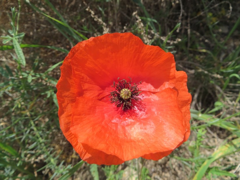 0C80FBD3-A3BE-4639-BCF9-783F9323F34C