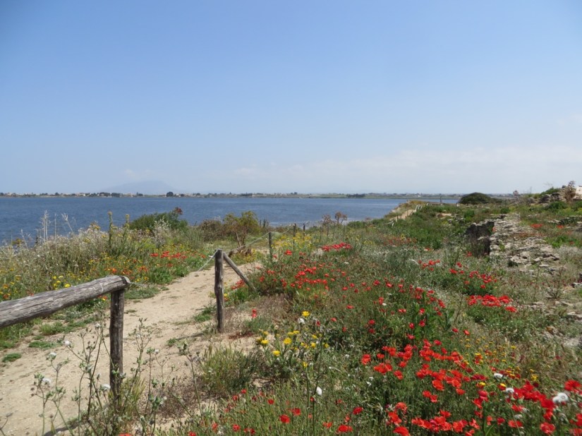 108D0831-E9B0-47FB-96A3-AC39EFCB27D1