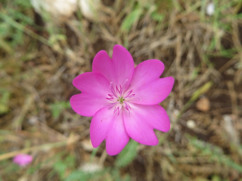 1AF7136B-25B5-41A2-BD9F-3A2036319976