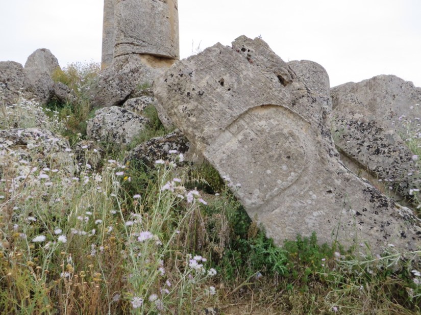 1C457EB1-F6FB-4F66-96BD-935AAFAF2F6E