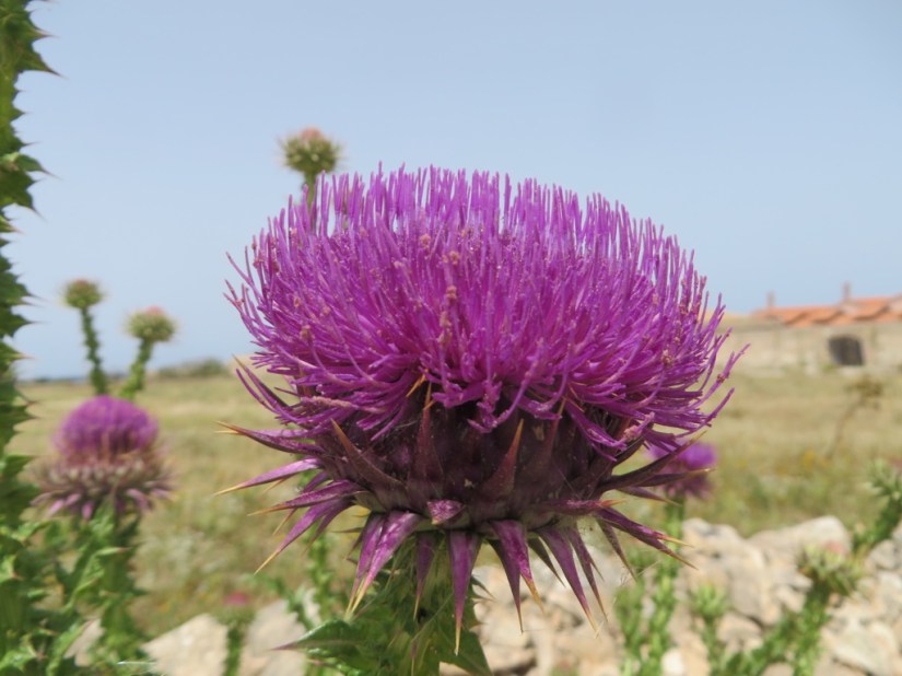 1C94019E-E7DD-46D4-BC12-3DEA813365F1