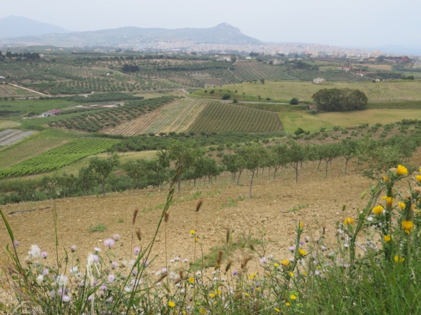 242DEB2D-201C-4A53-826D-3C5F296B79FD