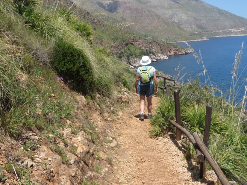 30FBCAEE-72B1-4D6E-913D-B5DDF46EAEAF