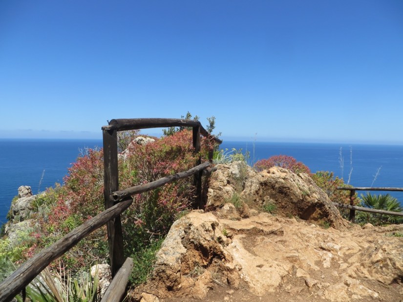 4743F222-3B79-4BEE-86D8-17C00CD95590