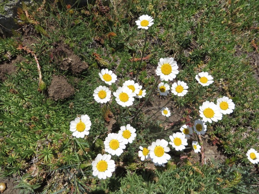 4D34AE30-D517-4E28-95BD-1B48BABD06AC