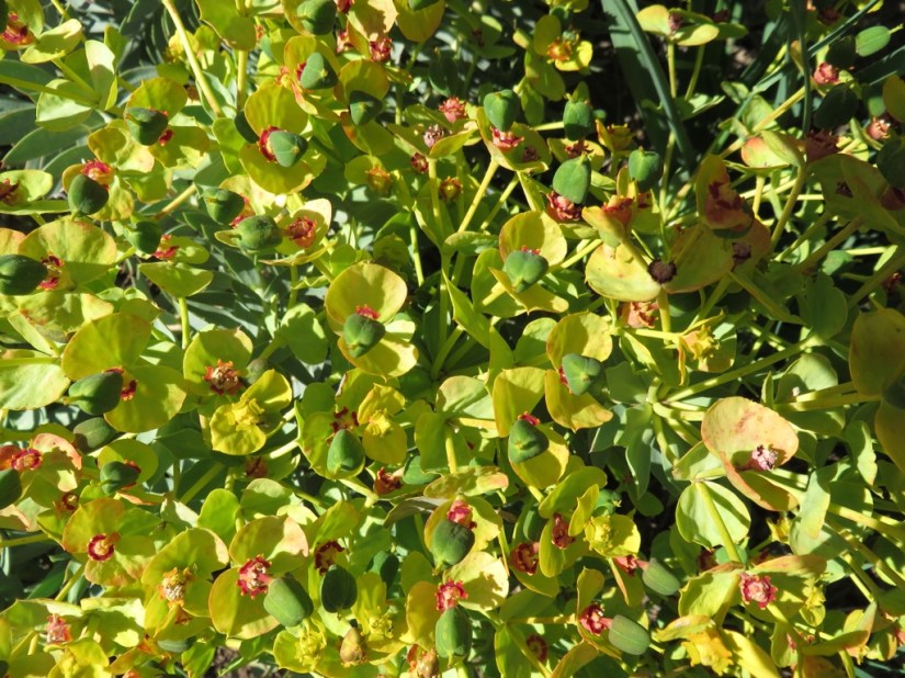 78B3C0D1-EFB8-48FD-AE78-C0C88417C40A