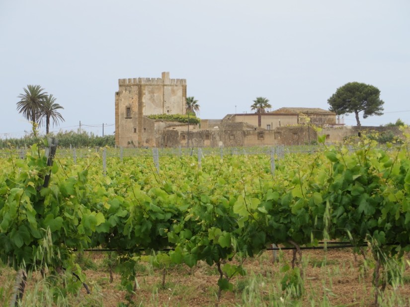 84397655-6209-4CA3-9191-B2D2D70AE48B