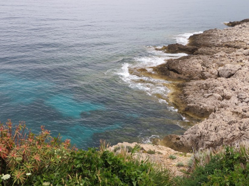 8A971BA0-54C5-4A8D-B199-E885160CFEE8