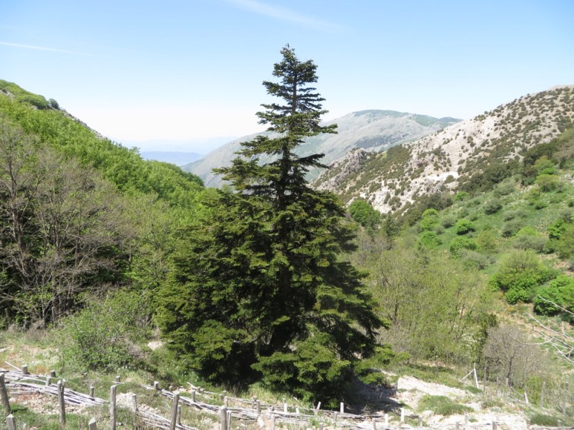 9D8B197C-2085-4E47-88E7-60C13F8B03C3