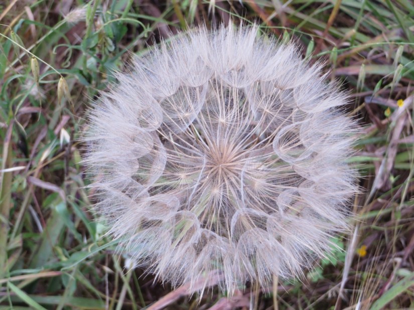 9DF286EF-828B-4FF0-920B-B673BB101EB9