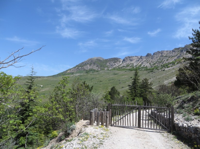 AF4F22CA-329E-4625-A7F3-1784C5443B8F