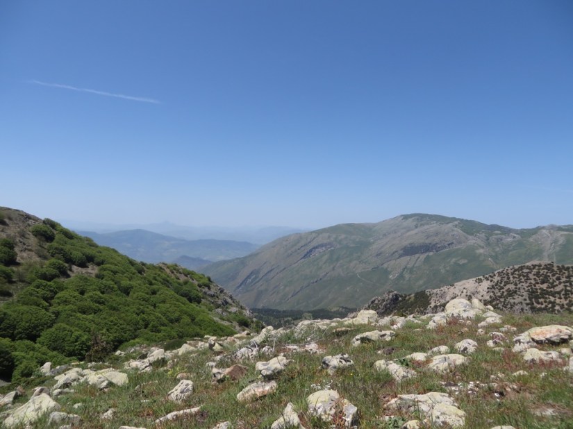 BB93DB84-C939-4164-928C-1F5D9F5BE47F