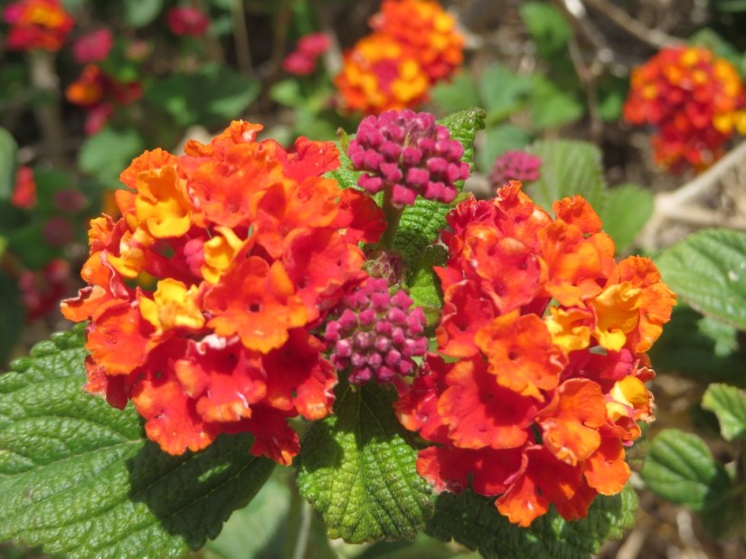 BF749E41-5956-4A7D-9D2A-B9CE299947B8