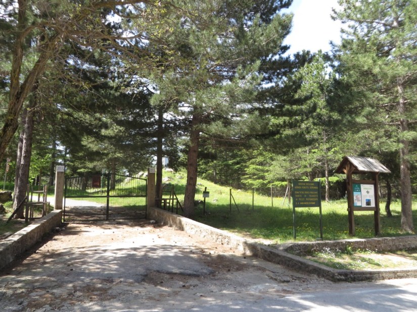 C25012F8-F2A9-4747-B13E-89051928943C