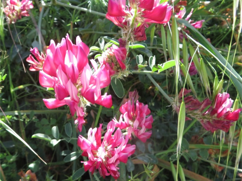 C4FAB1A2-3583-4EC0-A67A-F3088CE49CCC