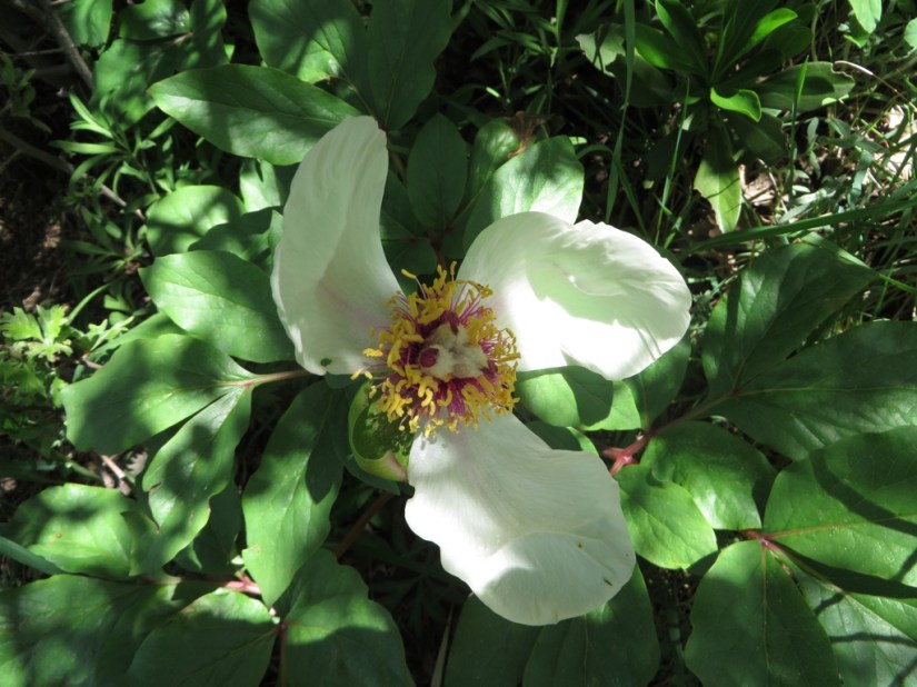 D9651F3C-BF1F-45F8-9BBB-D6EC31A2D0BD