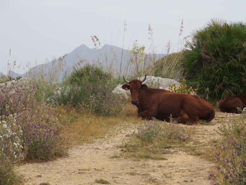 E7C82E7A-E10C-4F72-938B-1B8B502386E4