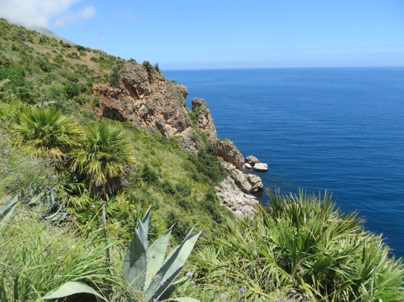 EDAE82D2-1188-42BE-88EB-2696A4806CE4