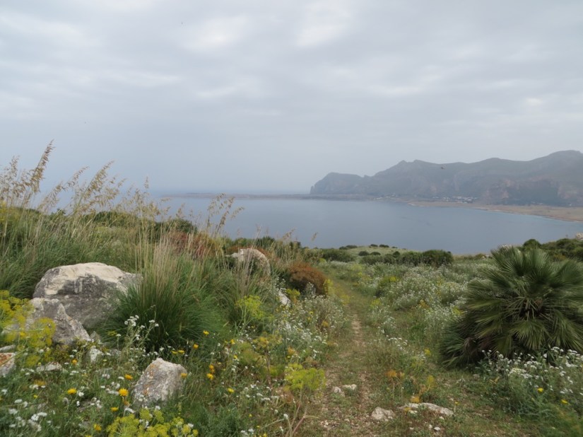 F1CFB8C8-0524-4EE4-A283-D33F77A8B1F2