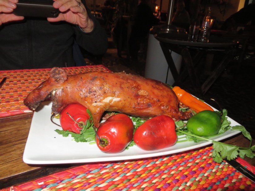 00954F24-1E86-4462-A5E8-4D6BC8C35723