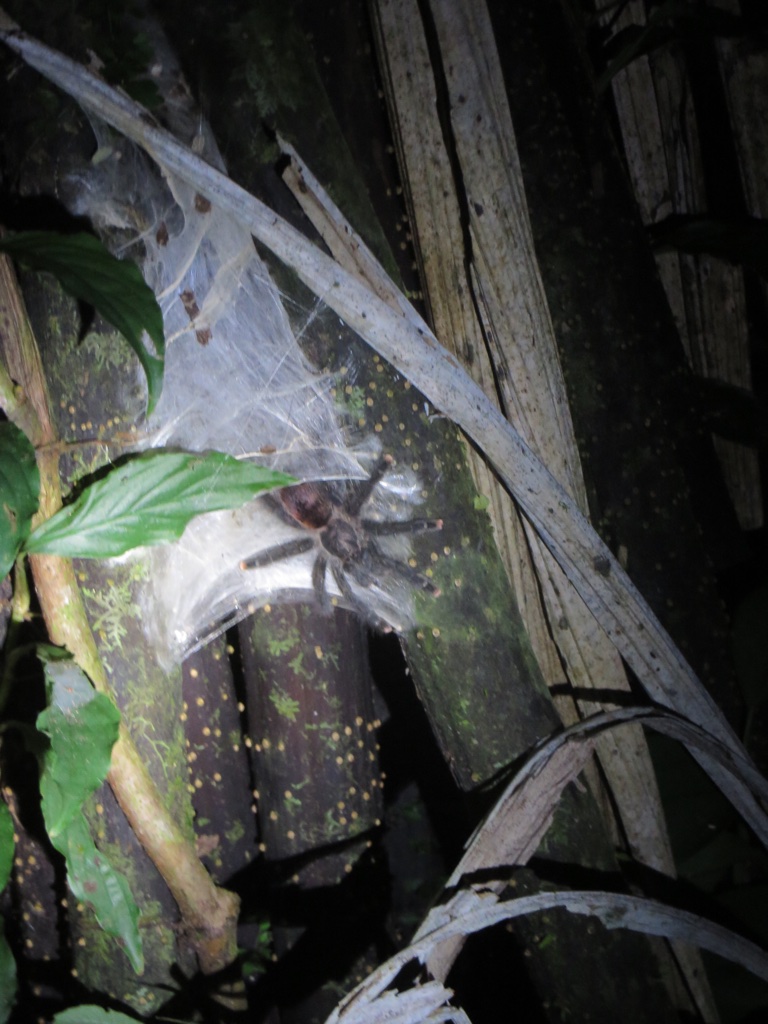 055FA59B-ABFD-4DD5-B4B7-88173109F2F9