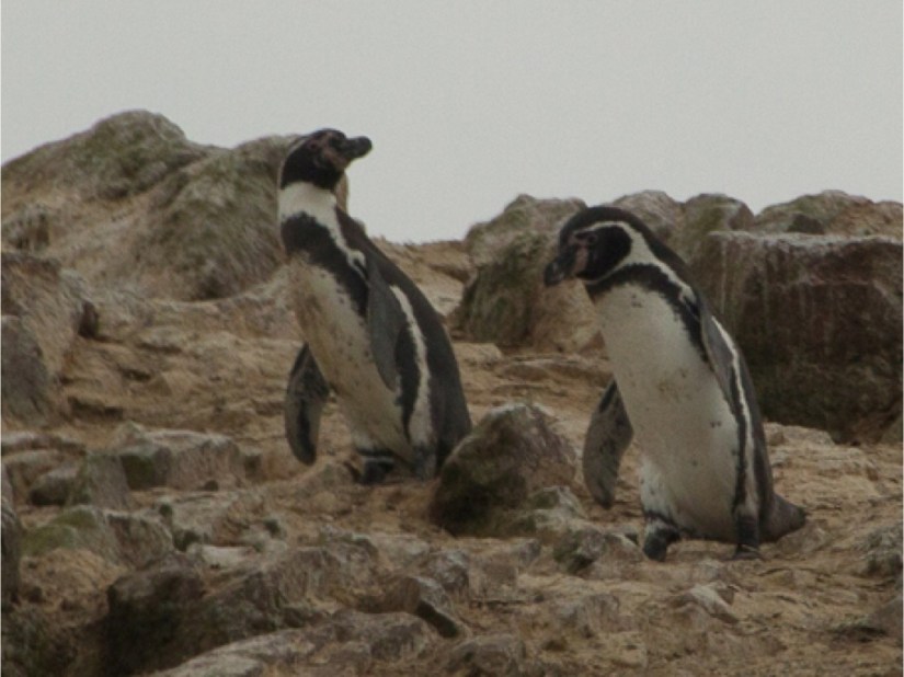 170FF8D0-428A-4B59-9931-0D29A9E6AD4F