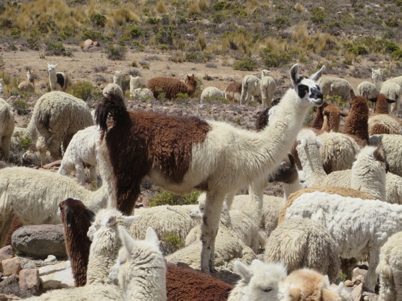 182BAB84-AD89-4E60-A870-E907806F8C5B