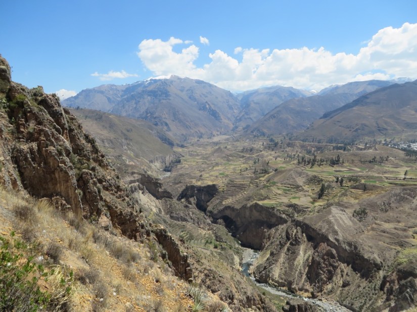 27D32B6C-6742-4CE0-BC76-1FDDB28BF64C