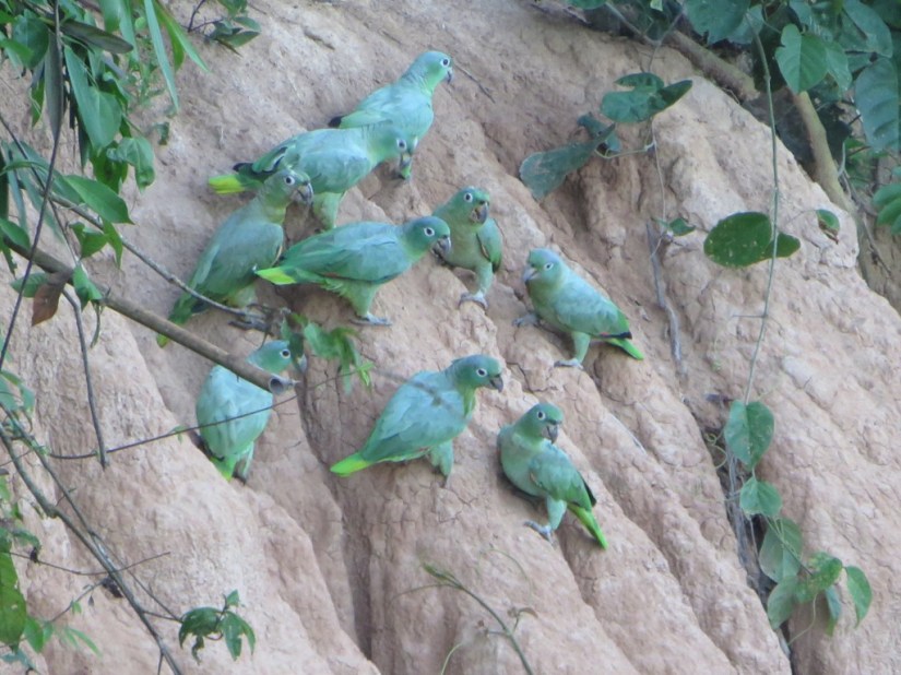 27F240B1-5FA2-479B-AEEF-7F30DD9137D8