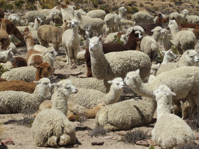 29952DAB-FEAD-41A5-A407-A6E1AB532C7F