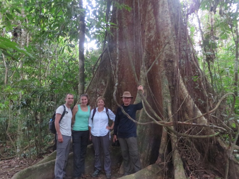 32FB38F1-6A91-4CF6-9374-3BA0E8818C5F