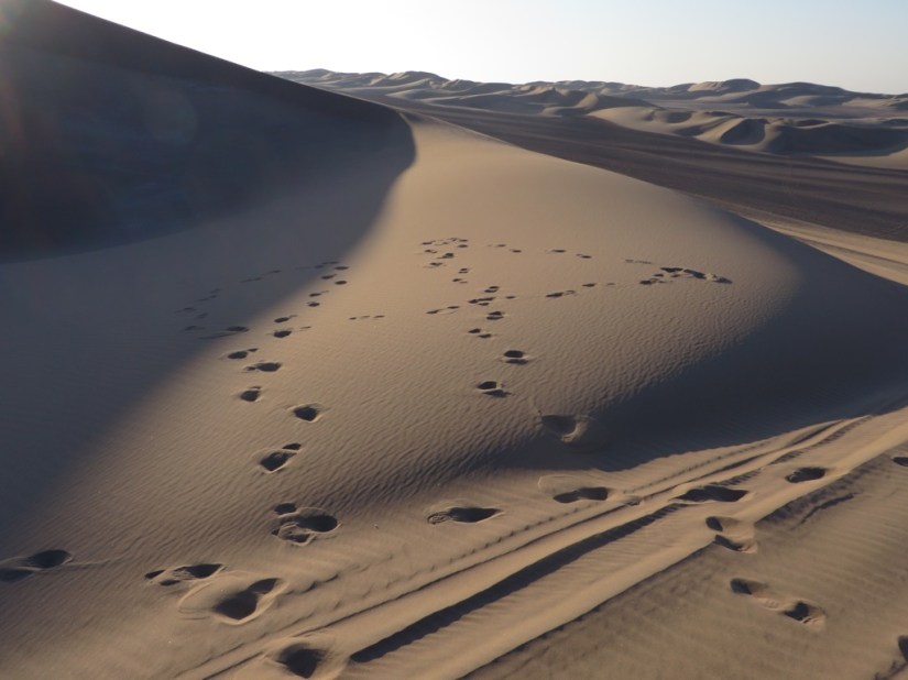 34613BD4-1405-42EB-A44E-215F2064A1DA