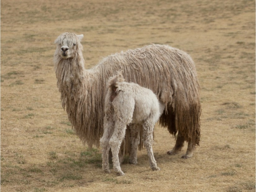 44E04C1A-85C3-404D-A282-0BE386483AFA