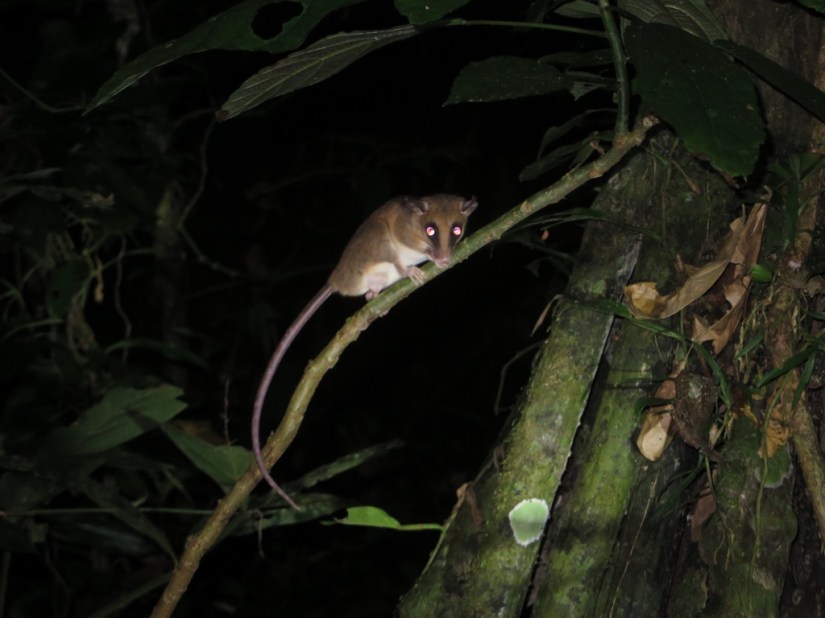 58A0DE8D-331D-4685-A1D9-7B305572148A