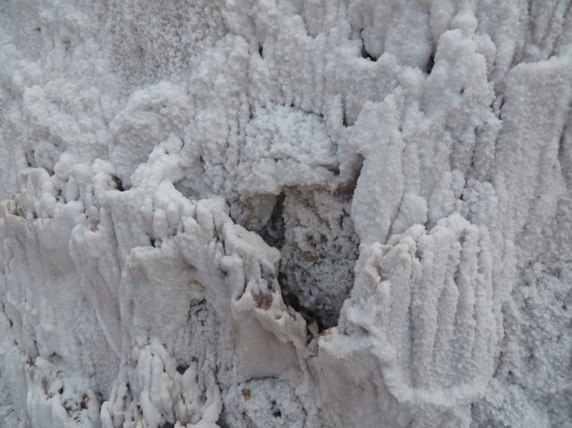 83CD8ABF-1E6E-4573-B39B-94DE5CB05CD1